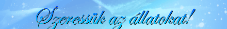 mybanner.gif