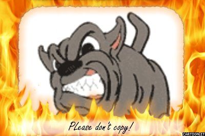 nelopdoglj.jpg