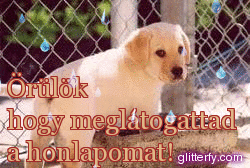 ohmah.gif ohmah.gif