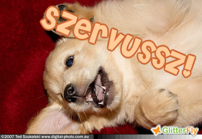 szervussz3.gif szervussz3.gif